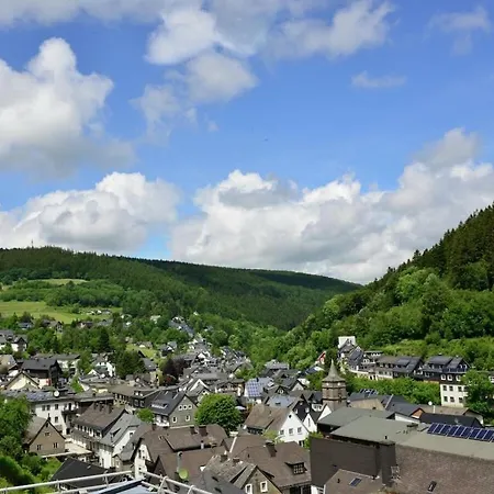 1 Bedroom * Willingen (Upland)